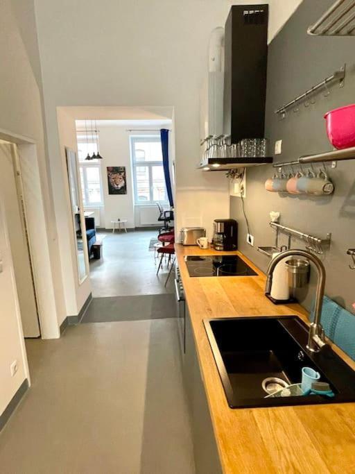 Klimatisierte Sehr Zentrale Wohnung-Loftstyle- Vienne Extérieur photo